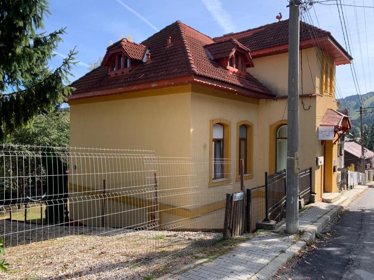 Hypnotic Villa Predeal Dış mekan fotoğraf